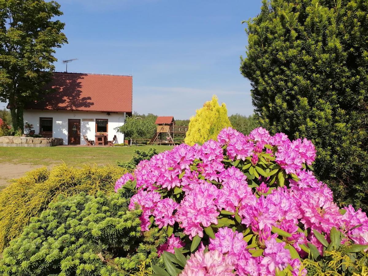 Willa Domek Czerwony Kapturek Plocice Zewnętrze zdjęcie